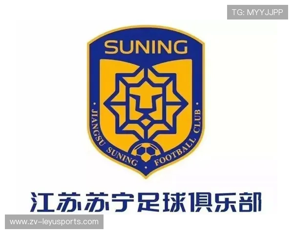 足球联赛在票务体系中对残障观众提供更多便利与无障碍服务，举办足球联赛的意义